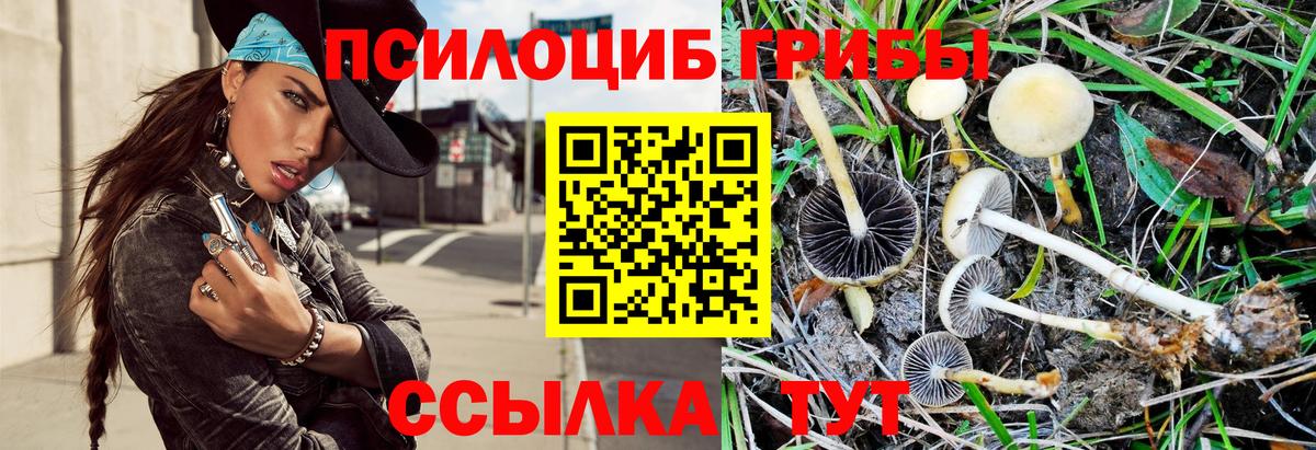 Галлюциногенные грибы Magic Shrooms Кушва